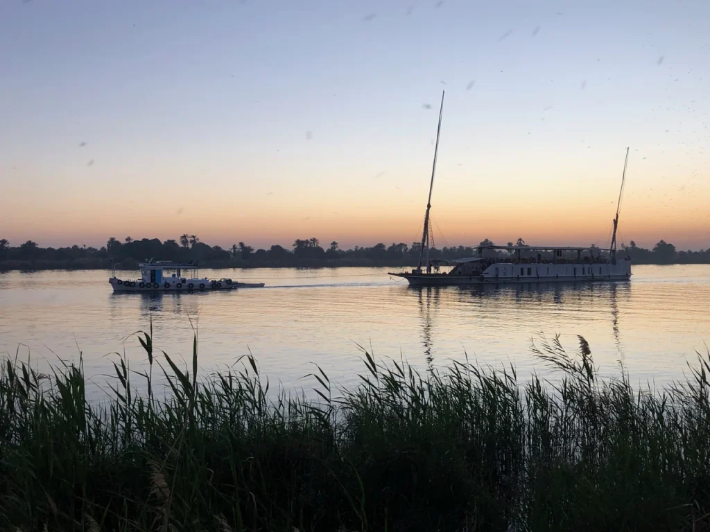 A dahabiya under tow on the Nile behind foreground reeds