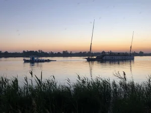 A dahabiya under tow on the Nile behind foreground reeds
