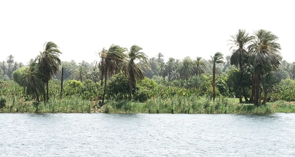Palms and cultivated riverbank beside the Nile near Esna